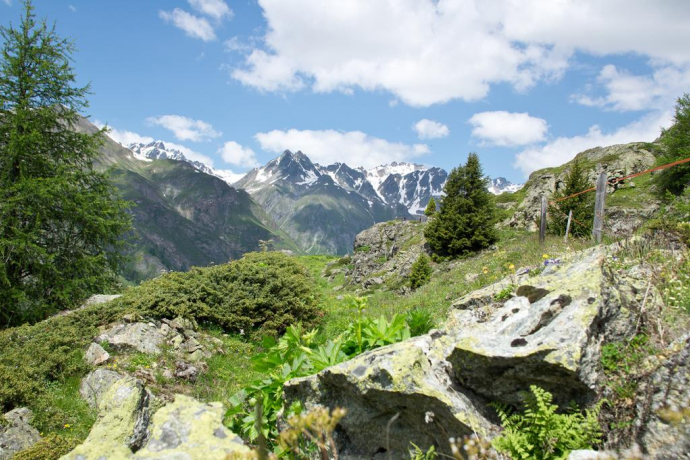 High above Ftan: Piz Clünas – Alp Laret