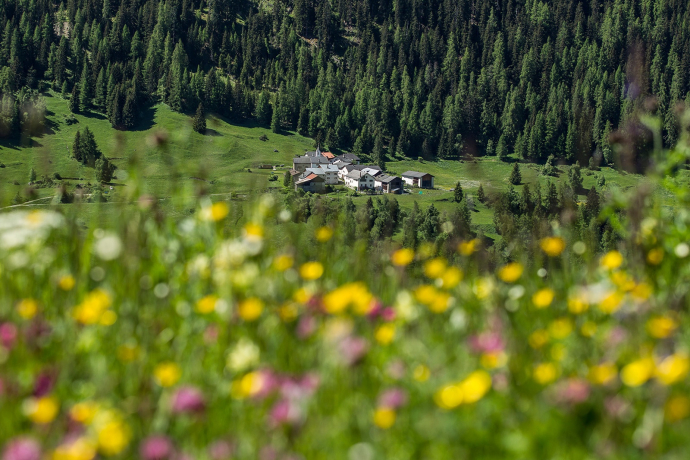 Tarasp – Innschlucht – Ardez