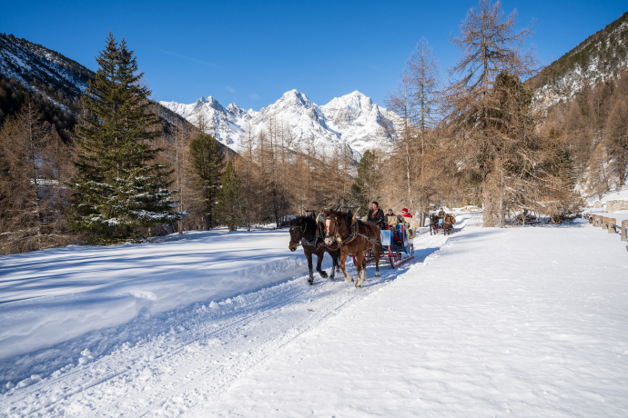 Romantische Pferdeschlittenfahrt ins Val S-charl (gdl_727322535_image)