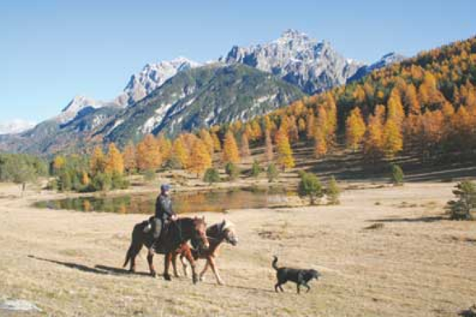 Tagesritt (gdl_810859274_image)