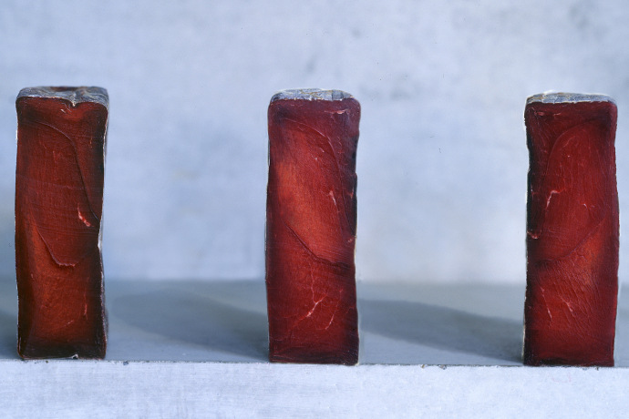 Bacharia Alpina – Das alpine Fleischhandwerk (gdl_810859638_image)