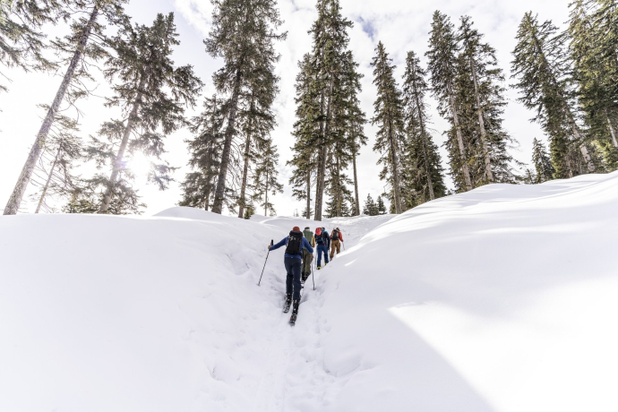 Skitouren für Anfänger*innen und Fortgeschrittene (gdl_833519810_image)