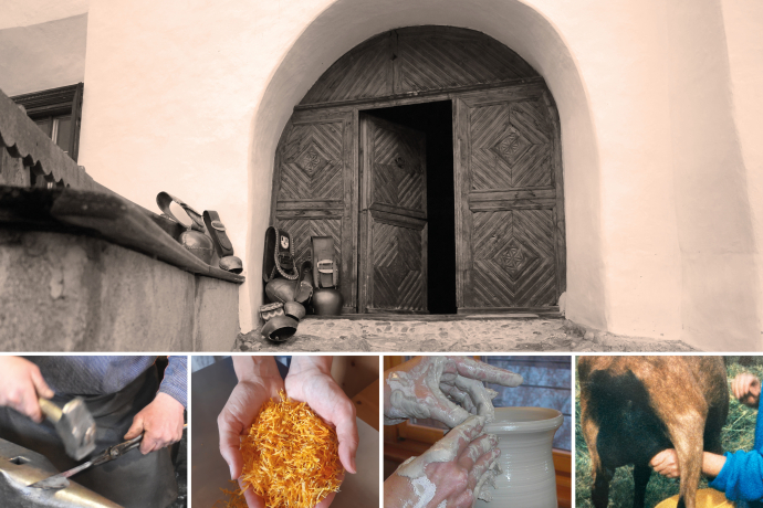 Open day/ portas avertas (gdl_843927962_image)