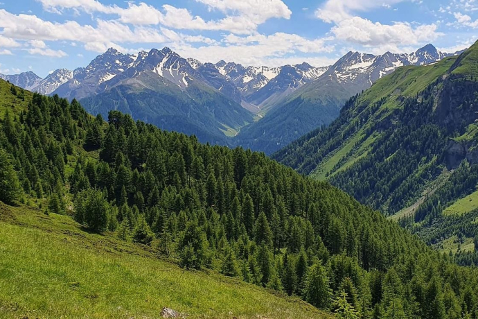 Achtsamkeit Retreat: Digital Detox in der Natur (gdl_845756863_image)