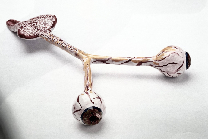 Exposition Gabriele Stötzer : Avec la main & le pied, la peau & les cheveux (gdl_864668668_image)