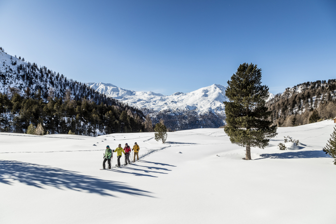 Geführte Schneeschuhwanderung für Einsteiger (Halbjahrestour) (gdl_891644845_image)