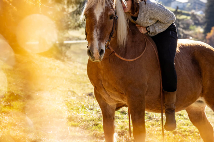 Foto-Kurs (gdl_893282949_image)