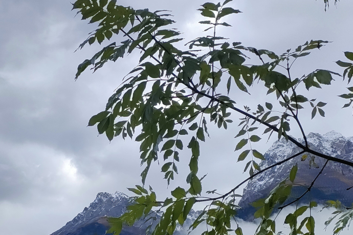 Cult divin (gdl_898999699_image)