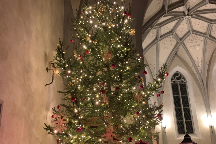 BÖS-CHIN (gdl_902970057_image)