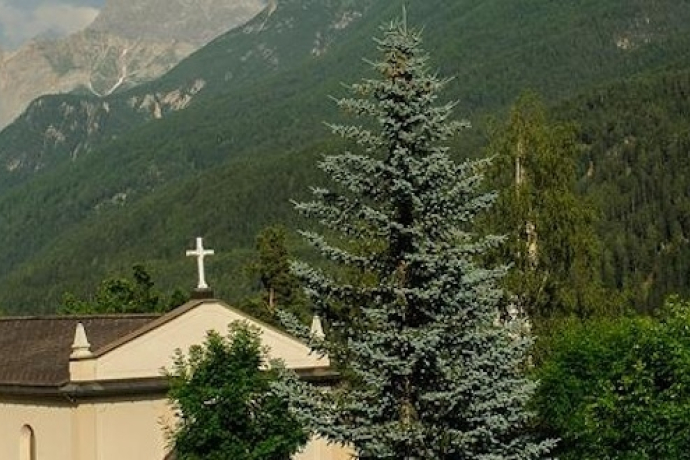 Nadal (gdl_904360858_image)