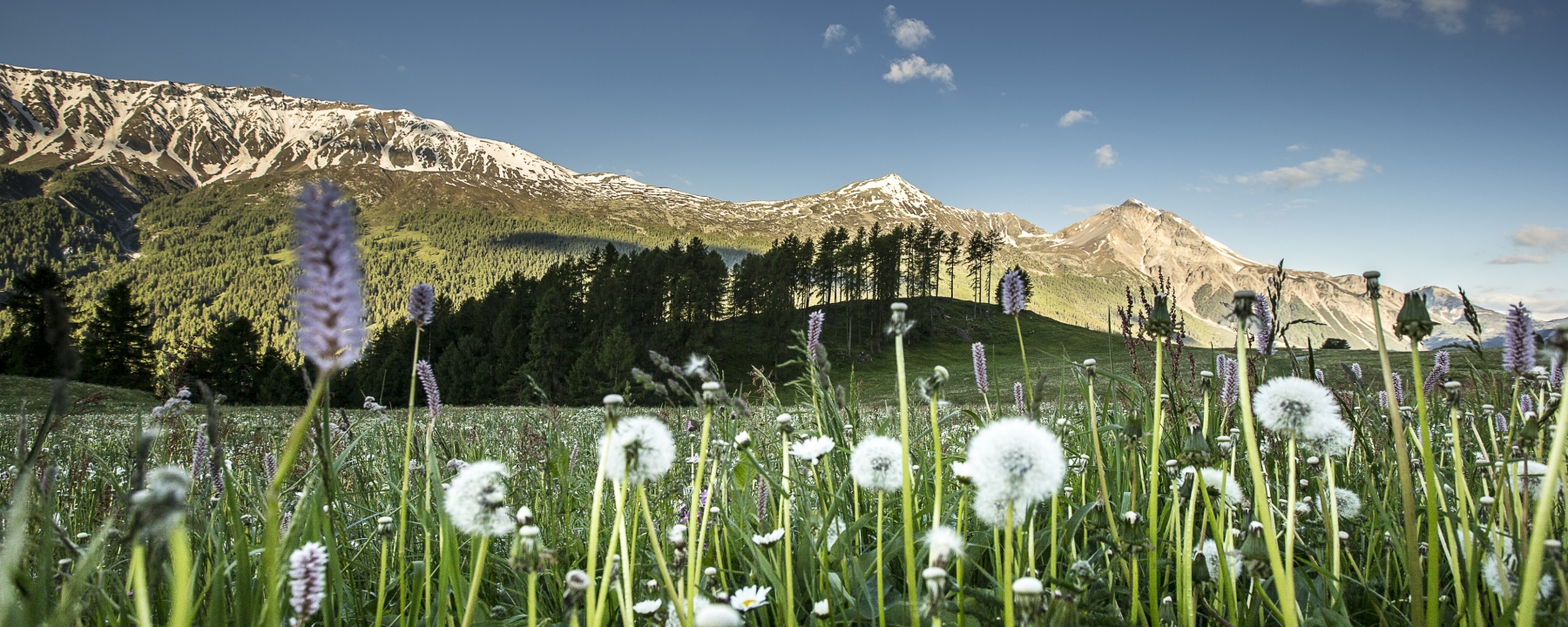 Die neue Website der Biosfera und der TESSVM