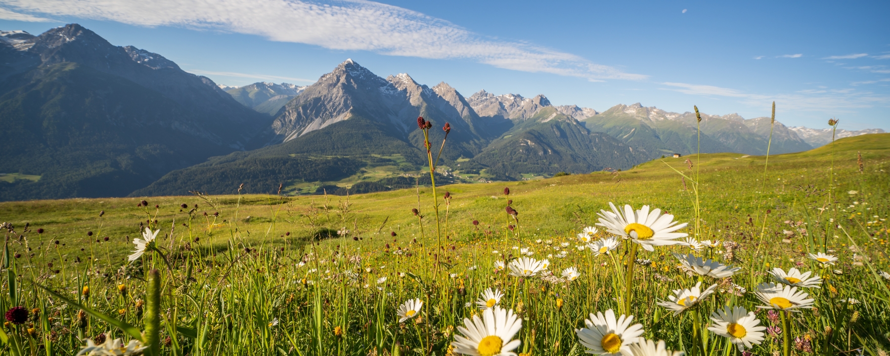 Aussicht von Motta Naluns