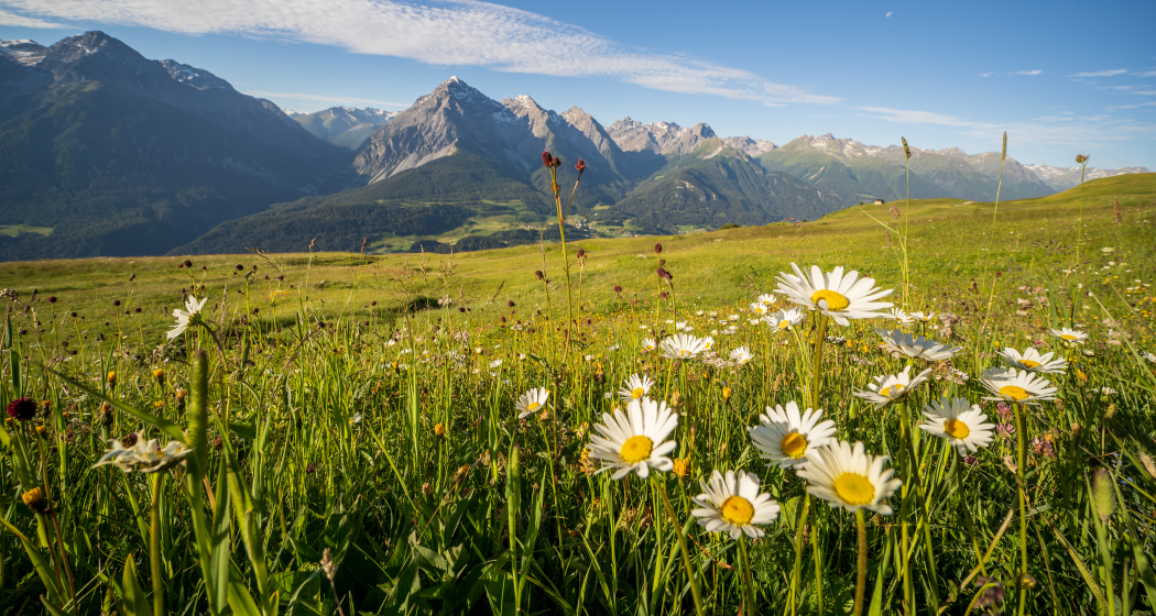 Ausblick auf die Engadiner Bergwelt von Motta Naluns aus Ausblick auf die Engadiner Bergwelt von Motta Naluns aus