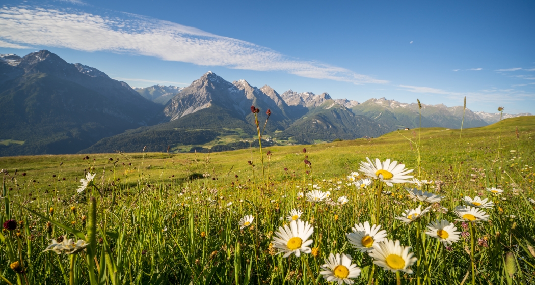 Aussicht von Motta Naluns Aussicht von Motta Naluns