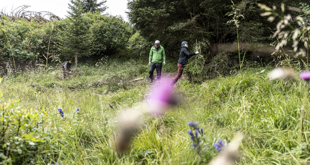 Arbeitseinsatz in Vnà für die Engadiner Natur. Arbeitseinsatz in Vnà für die Engadiner Natur.