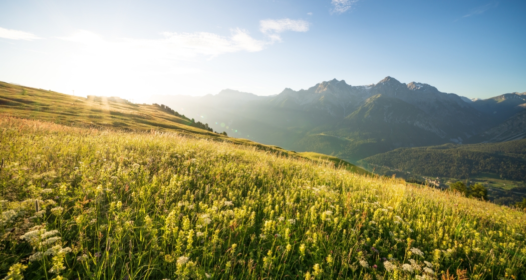 Sommerpanorama Motta Naluns Sommerpanorama Motta Naluns