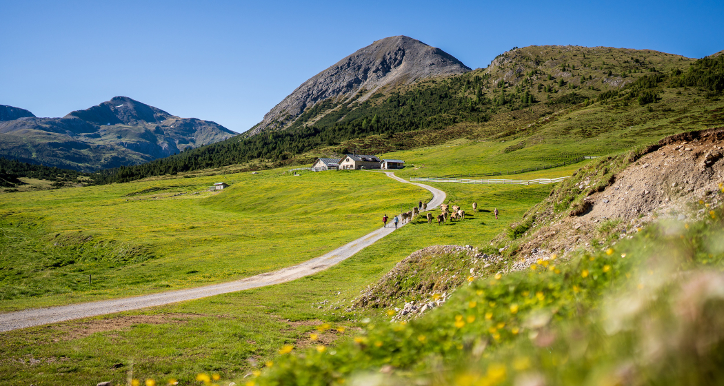 Ankunft bei der Alp Astras-Tamangur.