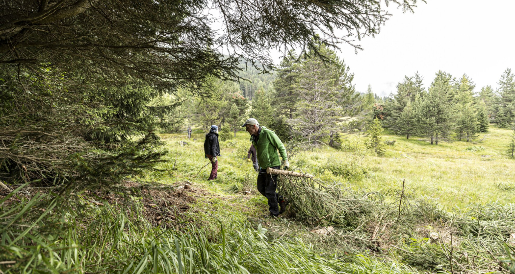 NatürActiva - Arbeitseinsätze in der Natur.