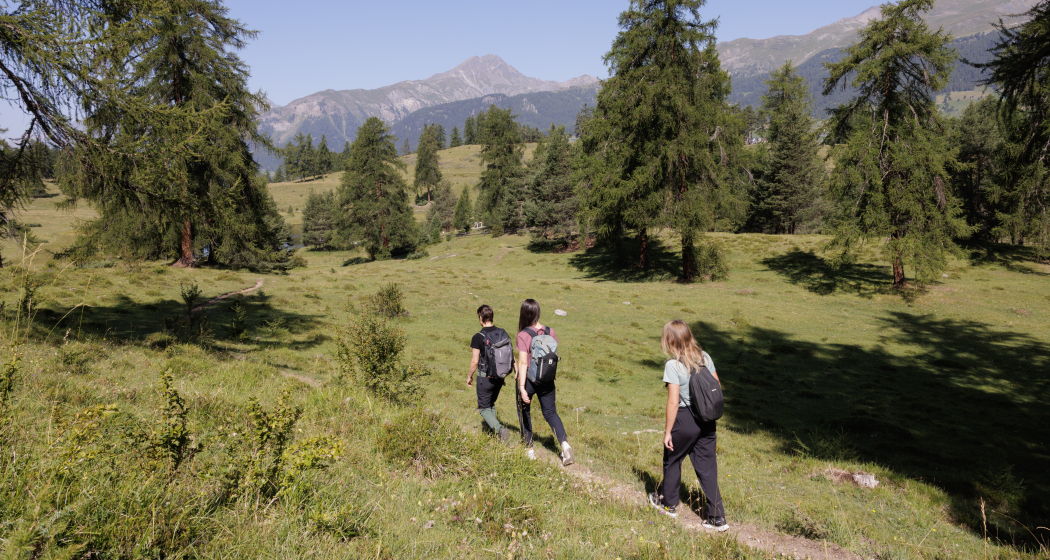 Gesundheitswälder im Engadin