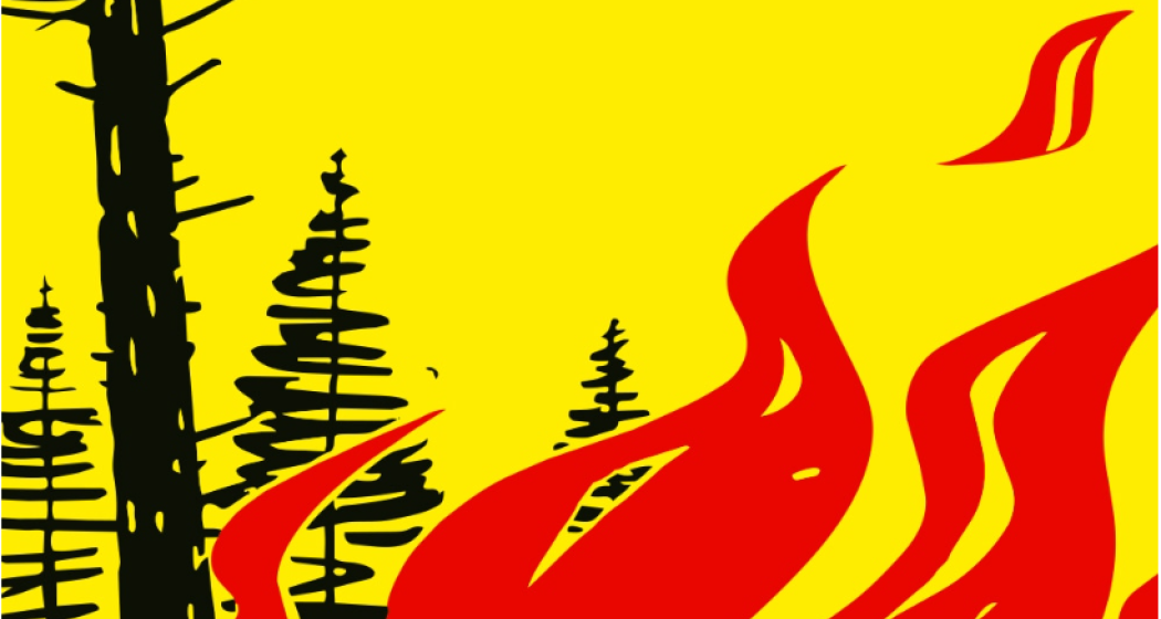 Waldbrandgefahr