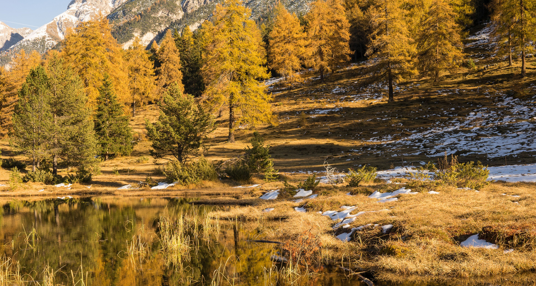 Der Herbst am kleinen Bergsee Lai Nair, oberhalb von Tarasp, im Unterengadin. Bild: Dominik Täuber