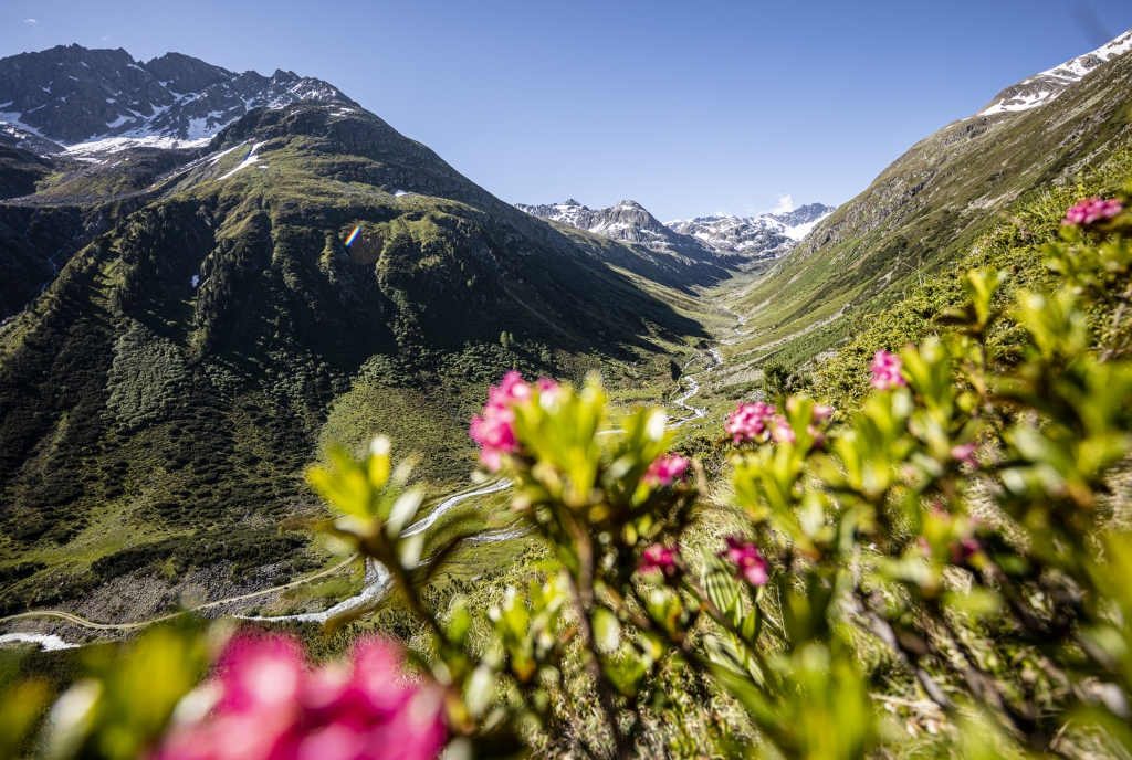 Blick ins Tal Richtung Flüelapass