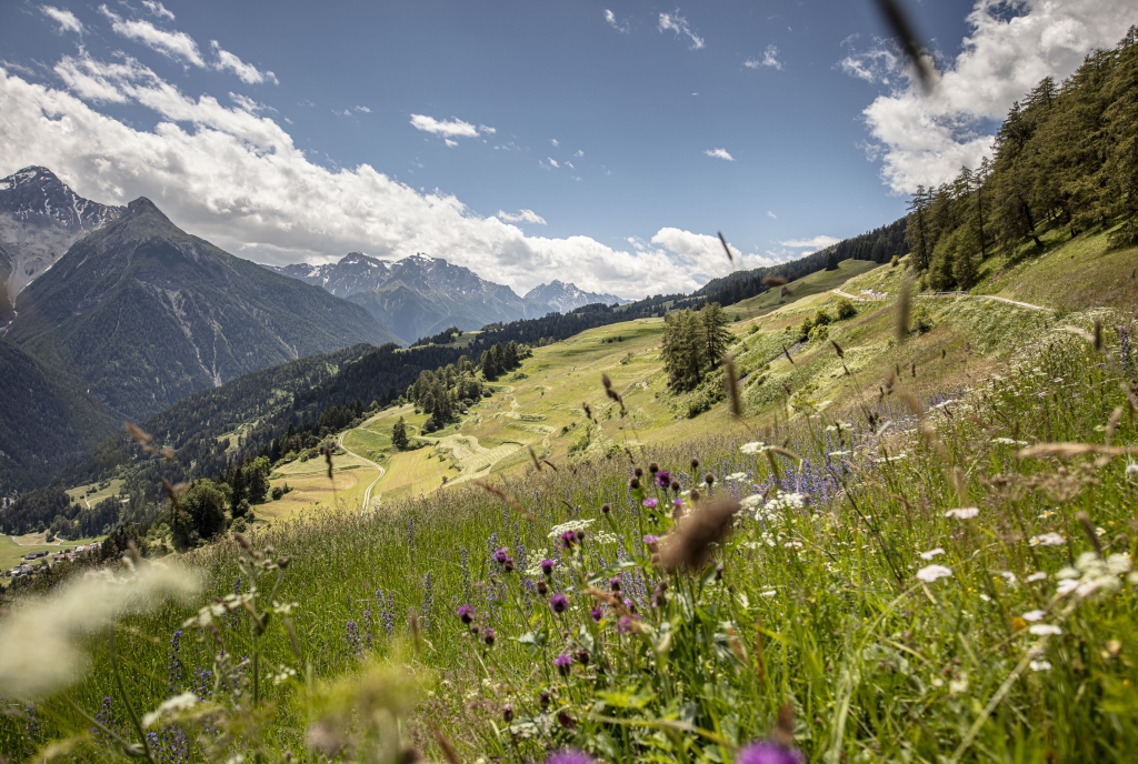 Ausblick von Tschlin auf die Terrassenlandschaft und die Engadiner Bergwelt.
