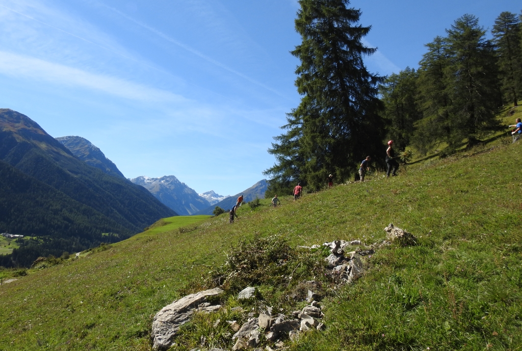 Arbeitseinsatz für die Engadiner Natur.