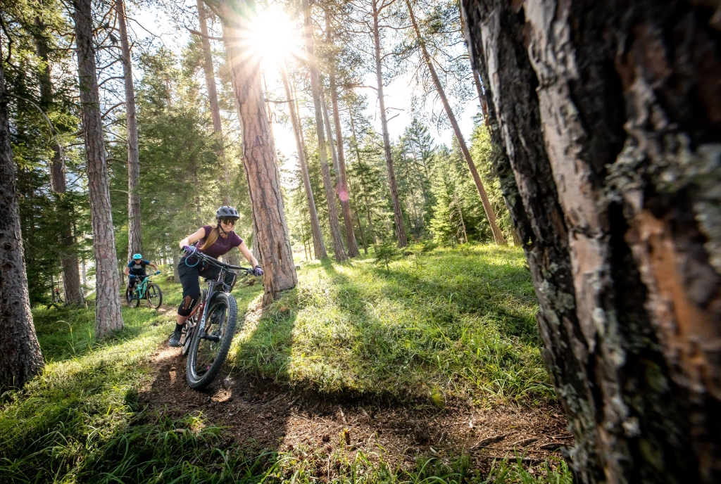 Mit dem Mountainbike durch die Engadiner Wälder.