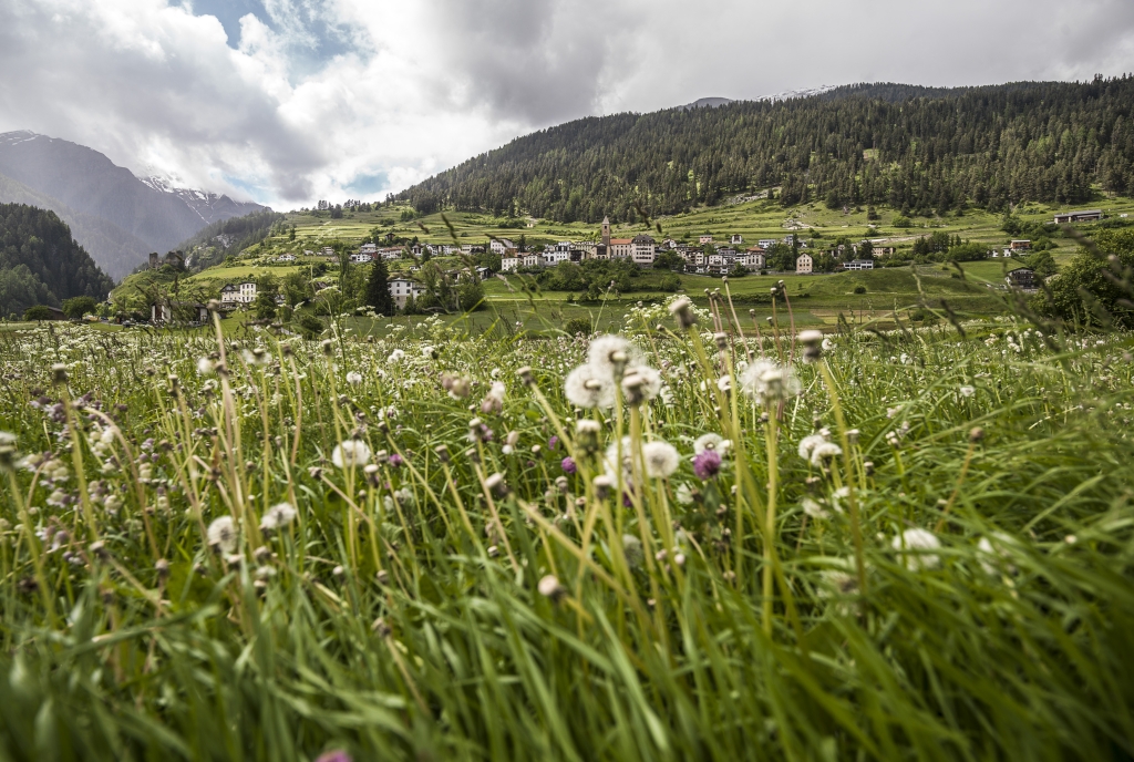 Panorama von Ramosch im Sommer