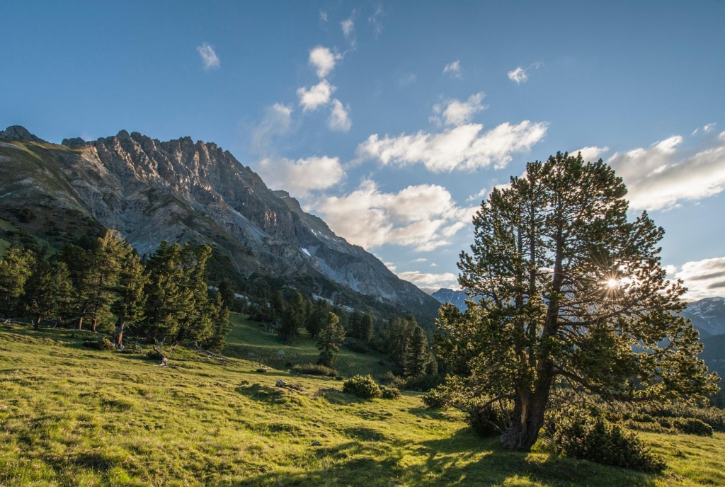 Das Val Mingèr im Schweizerischen Nationalpark.