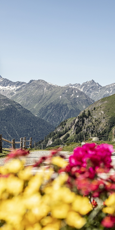 Ausblick von der Alp Laret, oberhalb von Ftan im Engadin Ausblick von der Alp Laret, oberhalb von Ftan im Engadin