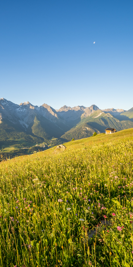 Sommerferien in der Nationalparkregion Engadin Scuol Zernez, Schweiz.