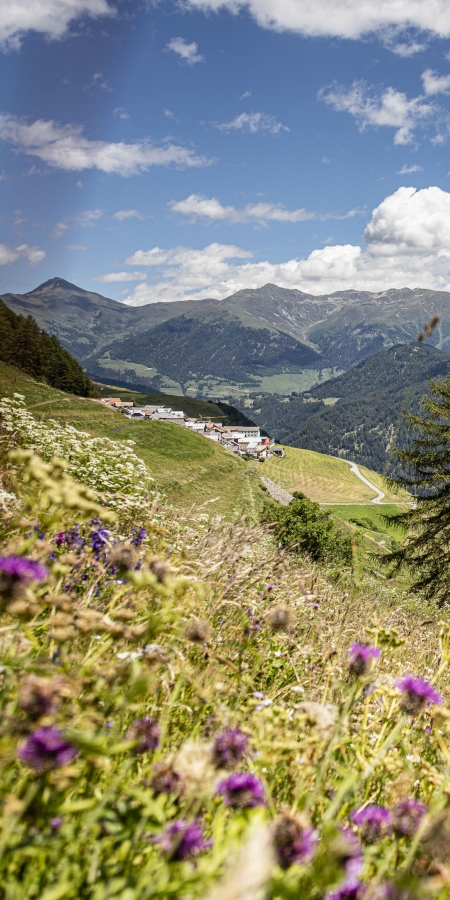 Ausblick auf das Engadiner Dorf Tschlin.