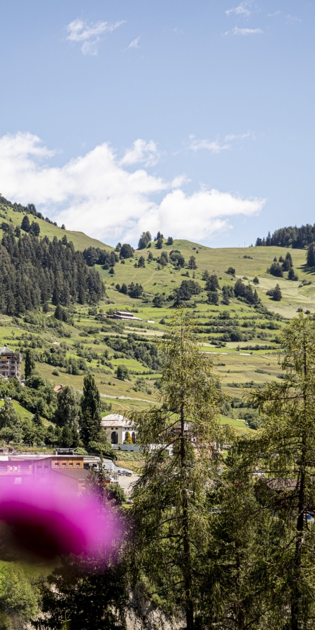 Heckenlandschaft bei Ramosch – Engadin Scuol Zernez – Andrea Badrutt