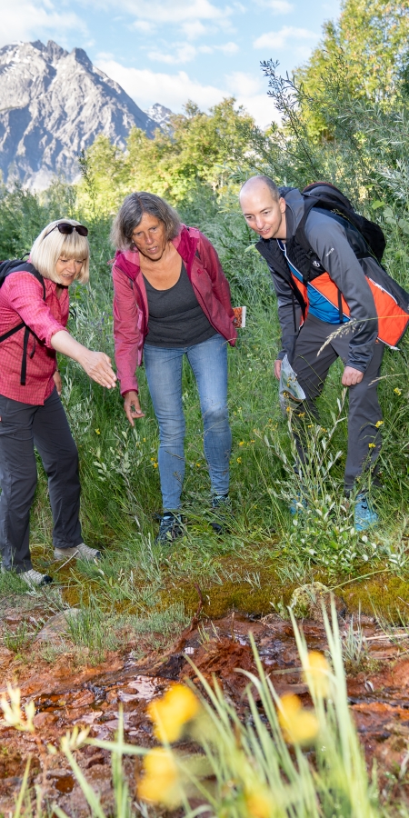 Mineralquellenführung – Informationen zum Mineralwasser von Scuol – Dominik Täuber Mineralquellenführung – Informationen zum Mineralwasser von Scuol – Dominik Täuber