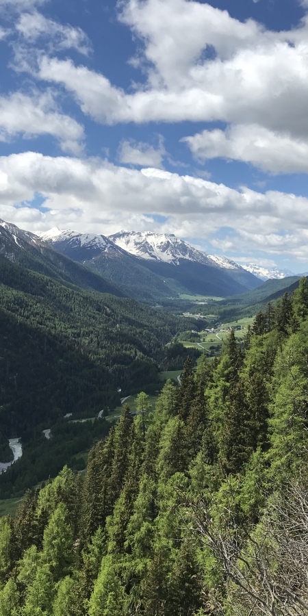 Blick in das Tal bei Zernez, Unterengadin – © Martina Stadler