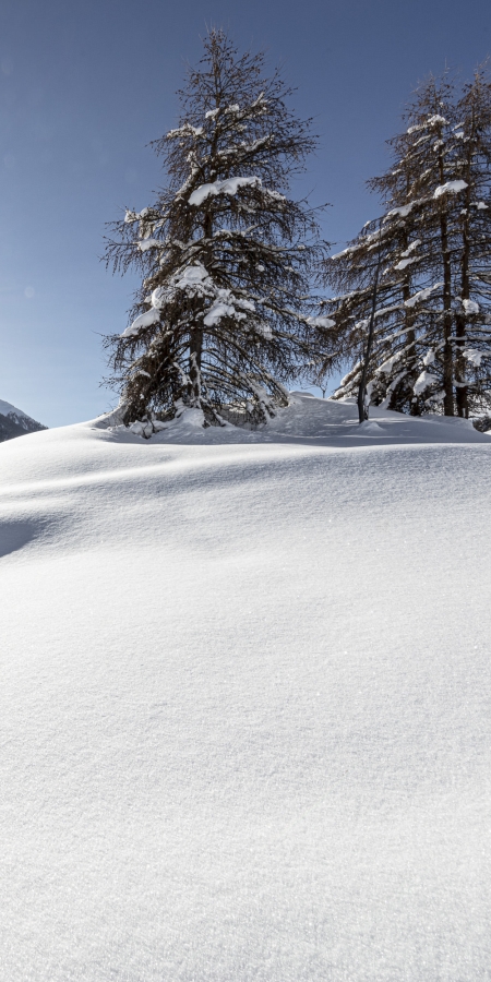 Engadiner Natur im Winter