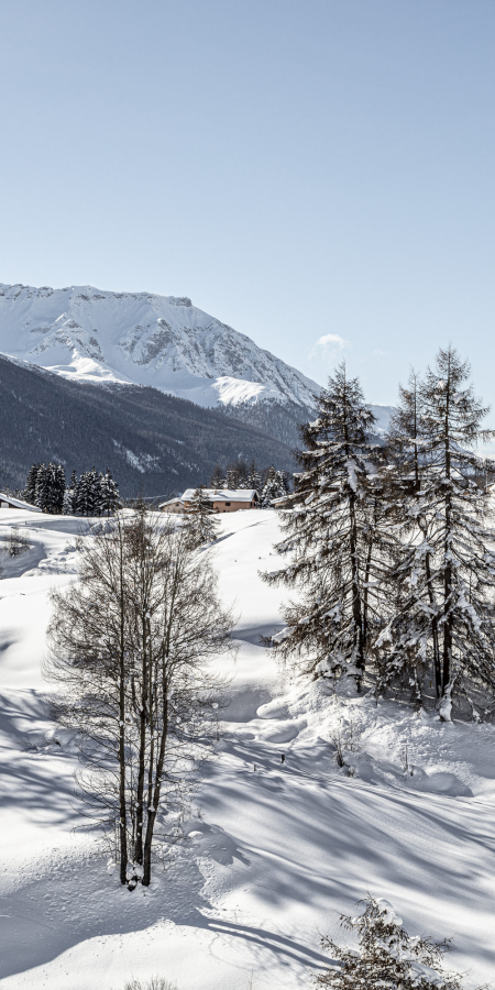 Engadiner Natur im Winter