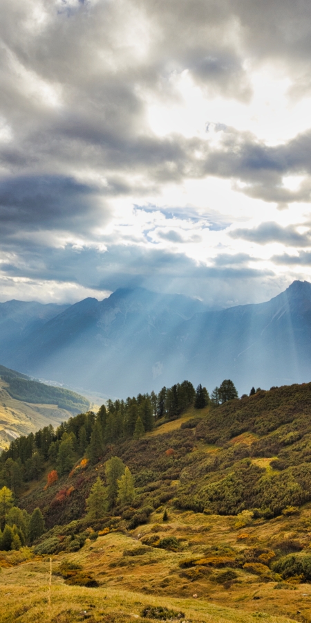 Gewinner des Herbst-Fotowettbewerb Gewinner des Herbst-Fotowettbewerb