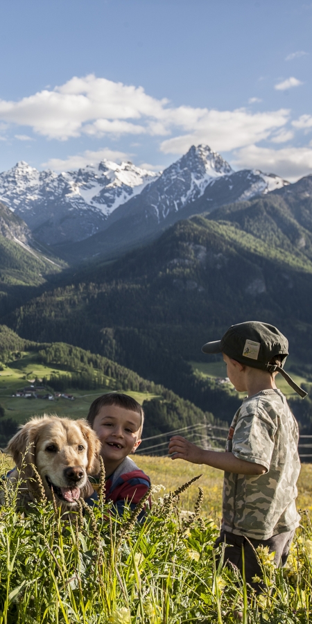 Ferien mit dem Hund Ferien mit dem Hund