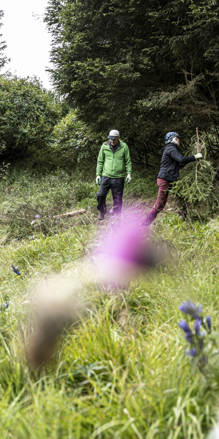Arbeitseinsatz in Vnà für die Engadiner Natur. Arbeitseinsatz in Vnà für die Engadiner Natur.