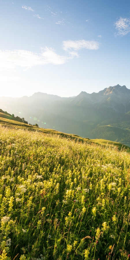 Sommerpanorama Motta Naluns Sommerpanorama Motta Naluns