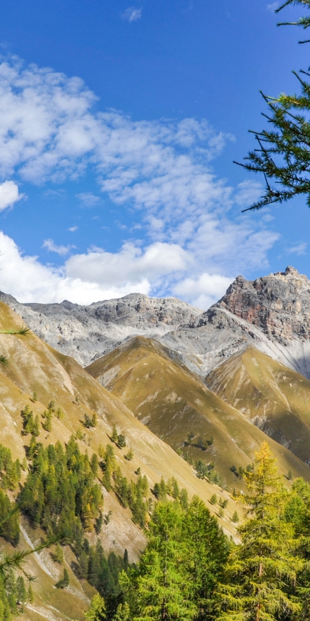 Schweizerischer Nationalpark © Hans Lozza, SNP Schweizerischer Nationalpark