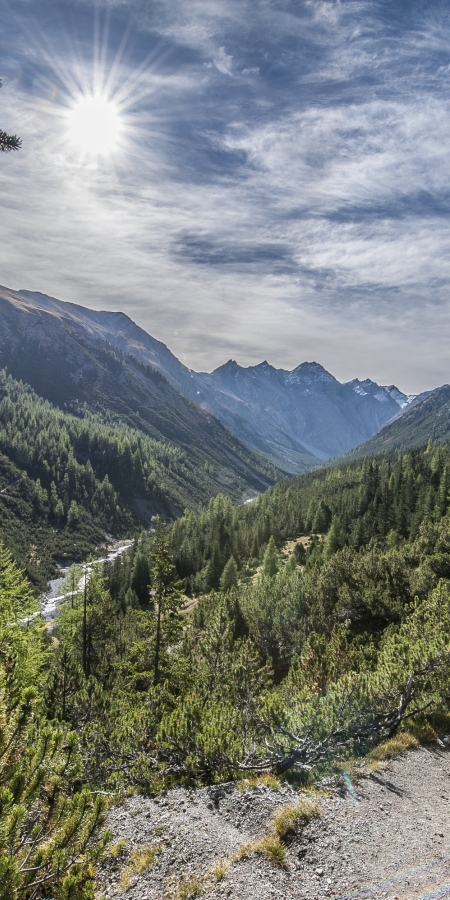 Schweizerischer © Hans Lozza, SNP Nationalpark