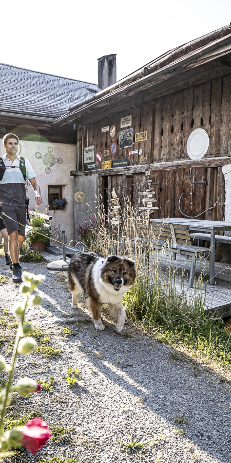 Ferien mit Hund © Andrea Badrutt Ferien mit Hund
