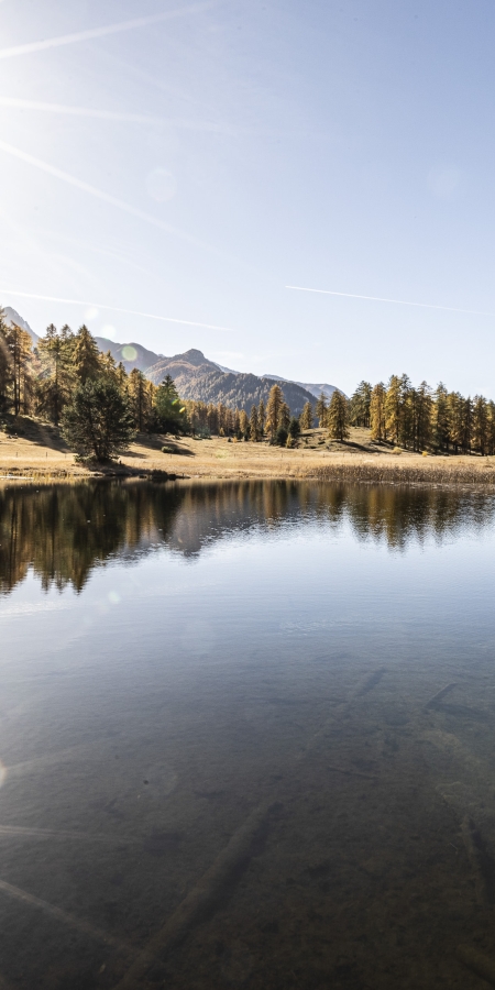 Lai Nair im Herbst