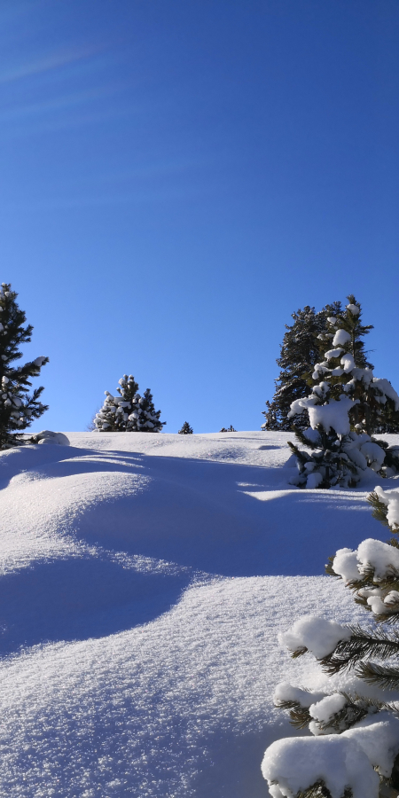 Verschneite Winterlandschaft