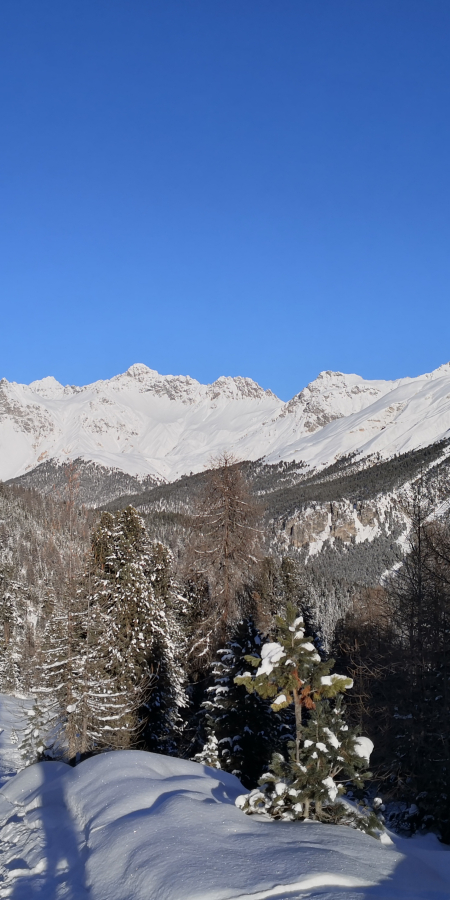 Winterzauber am Ofenpass