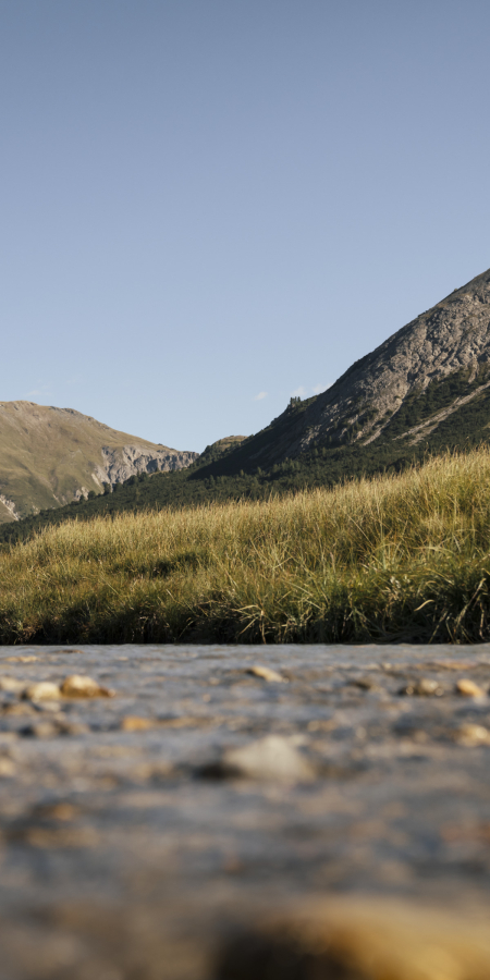 Wandern in der intakten Engadiner Natur.